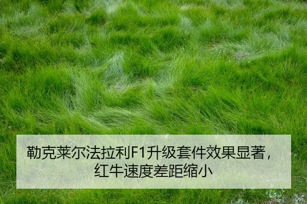 lei-ke-lai-er-fa-la-li-sheng-ji-tao-jian-xiao-guo-xian-zhu-hong-niu-su-du-cha-ju-suo-xiao-2-444.jpg