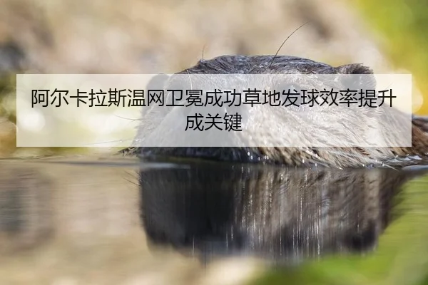 a-er-ka-la-si-wen-wang-wei-mian-cheng-gong-cao-di-fa-qiu-xiao-lv-ti-sheng-cheng-guan-jian-2-632.jpg