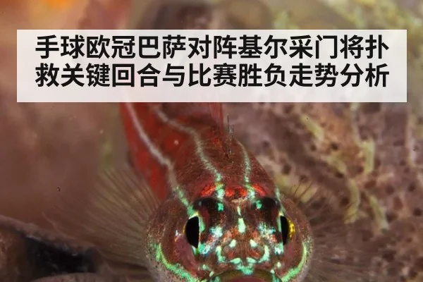 手球欧冠巴萨对阵基尔采门将扑救关键回合与比赛胜负走势分析
