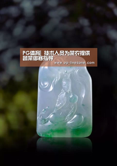 PG体育|
技术人员为菜农提供蔬菜御寒指导(图1) PG篮球
