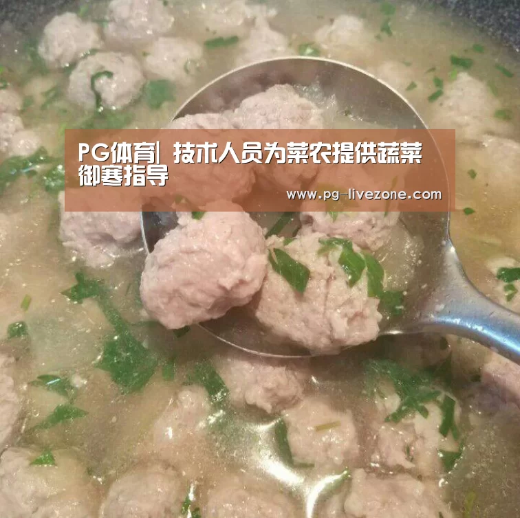 PG体育|
技术人员为菜农提供蔬菜御寒指导(图2) PG篮球