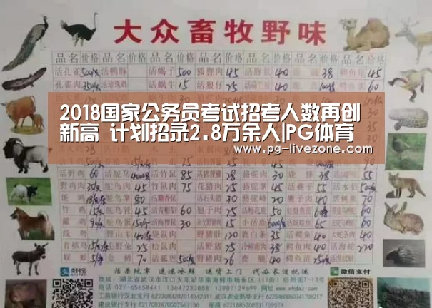 PG足球